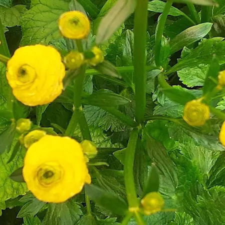 アパート Bibic A *