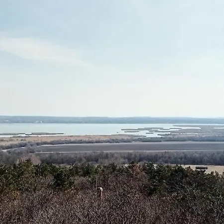 アパート Bibic A *