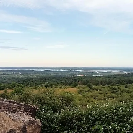 Bibic A アパート *